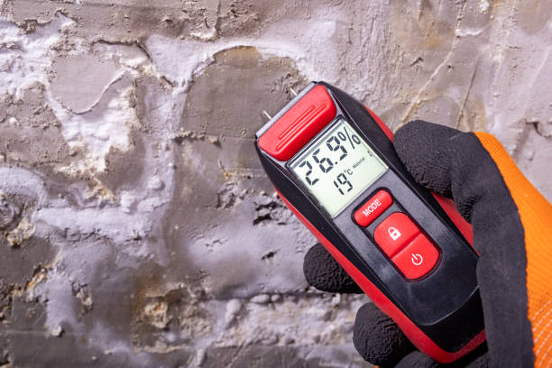 Best Attic Mold Removal  in Garden Ridge, TX