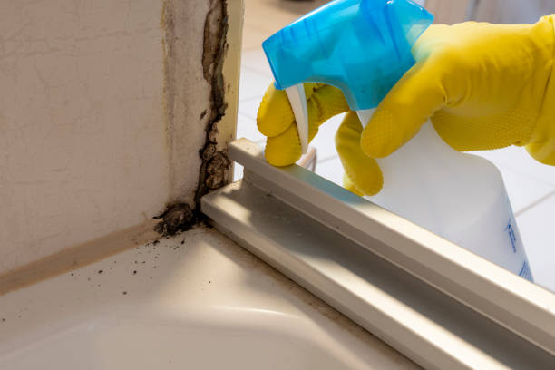 Best Mold Cleaning Services  in Garden Ridge, TX