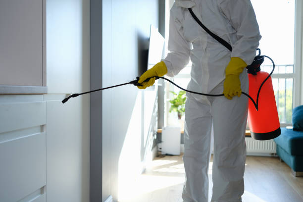 Best Professional Mold Removal  in Garden Ridge, TX