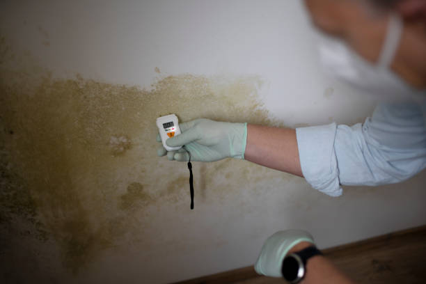 Best Mold Testing  in Garden Ridge, TX