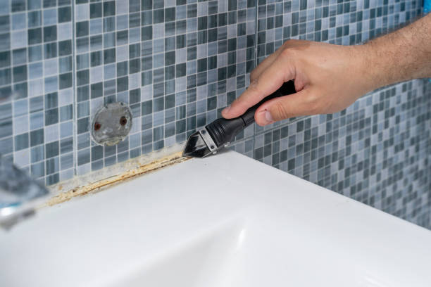 Best Mold Removal Near Me  in Garden Ridge, TX