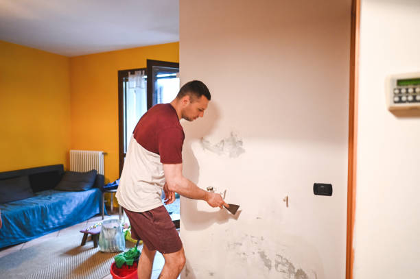 Best Home Mold Removal  in Garden Ridge, TX