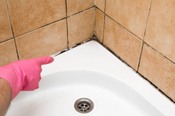 Best Office Mold Removal Services  in Garden Ridge, TX
